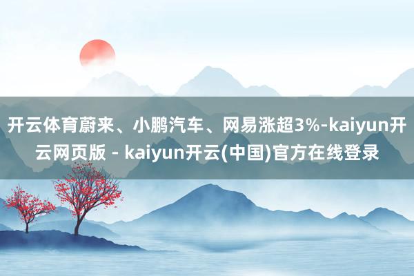 开云体育蔚来、小鹏汽车、网易涨超3%-kaiyun开云网页版 - kaiyun开云(中国)官方在线登录
