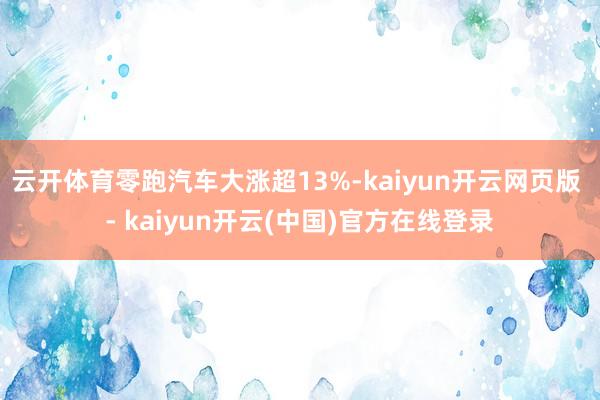 云开体育零跑汽车大涨超13%-kaiyun开云网页版 - kaiyun开云(中国)官方在线登录