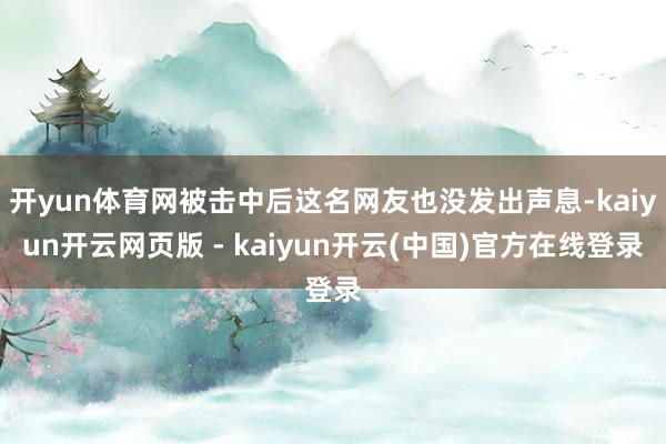 开yun体育网被击中后这名网友也没发出声息-kaiyun开云网页版 - kaiyun开云(中国)官方在线登录