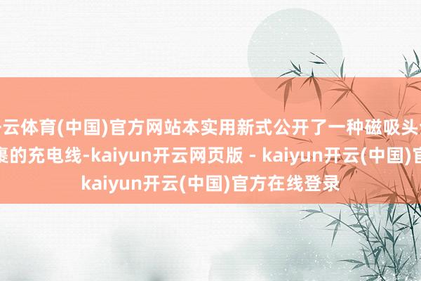 开云体育(中国)官方网站本实用新式公开了一种磁吸头全PVC软胶包裹的充电线-kaiyun开云网页版 - kaiyun开云(中国)官方在线登录
